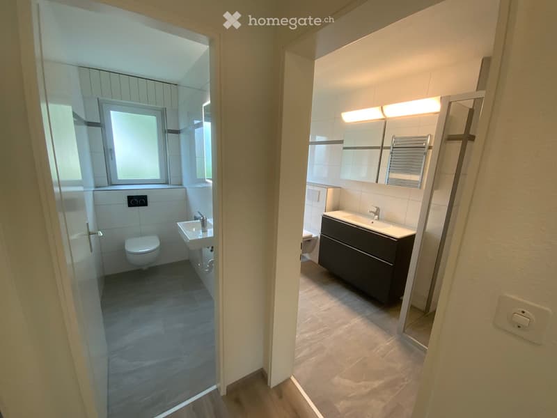Modern bathroom with a toilet, sink, and mirror. The space features tiled walls and a dark-colored bathroom cabinet.