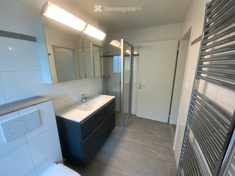 Modern bathroom with a white sink, dark cabinet, large mirror, radiator, and a glass-enclosed shower area.