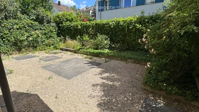 Garden area with gravel ground, small square concrete slabs, lush greenery, and a hedge border.