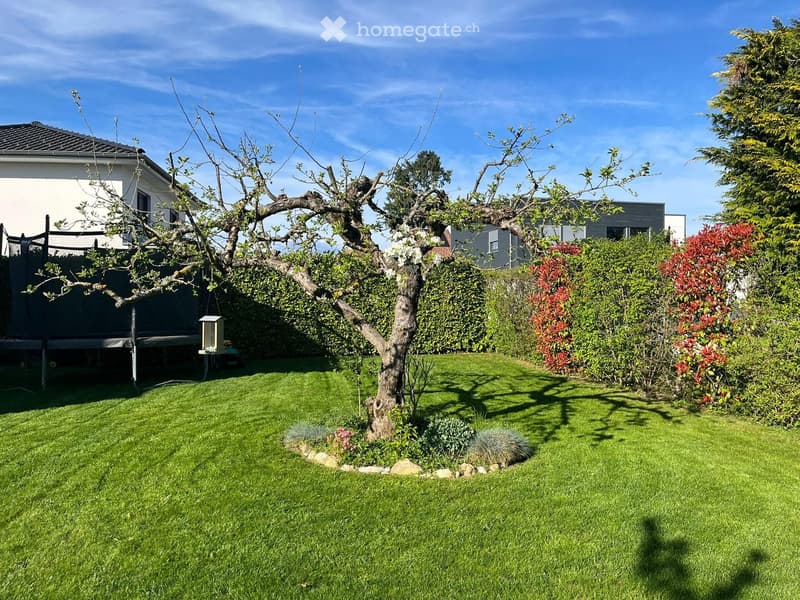 Well-maintained garden with a central tree, neatly trimmed hedges, and a small seating area near the house.