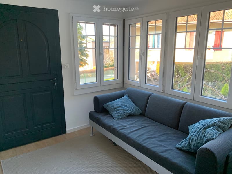 Living room with a grey sofa, two pillows, large windows, and a dark green door.