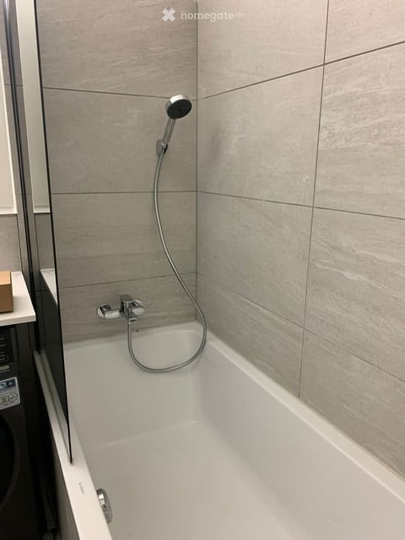 Modern bathroom with a white bathtub, a handheld showerhead, and a chrome faucet.