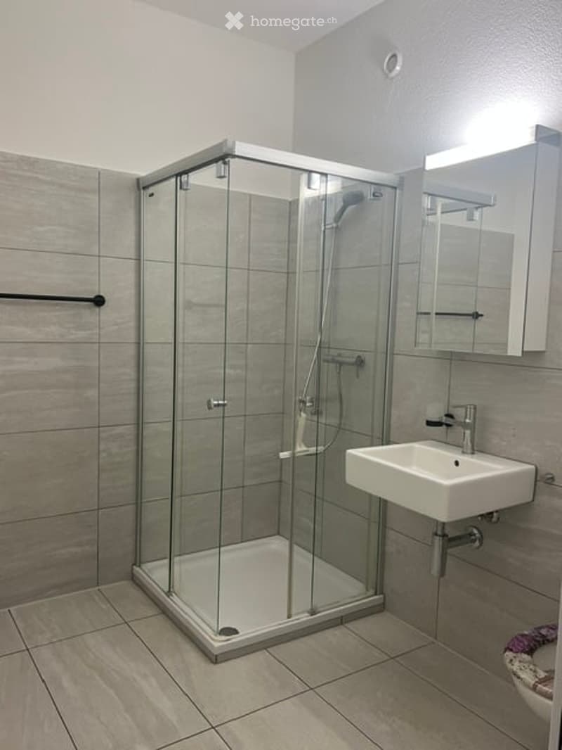 Modern bathroom with a glass-enclosed shower stall, a white sink with a chrome faucet, and a mirrored cabinet above the sink.