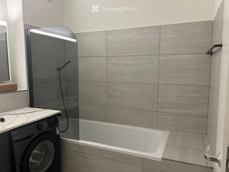 Modern bathroom with a bathtub, glass shower enclosure, washing machine, and a sleek sink area.
