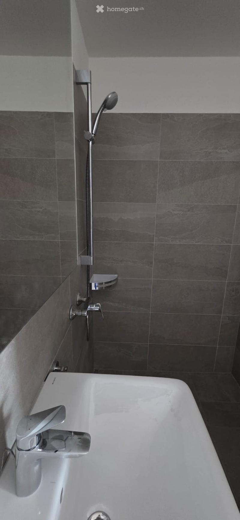 Bathroom with a white sink, silver faucet, and a shower head attached to a silver arm.