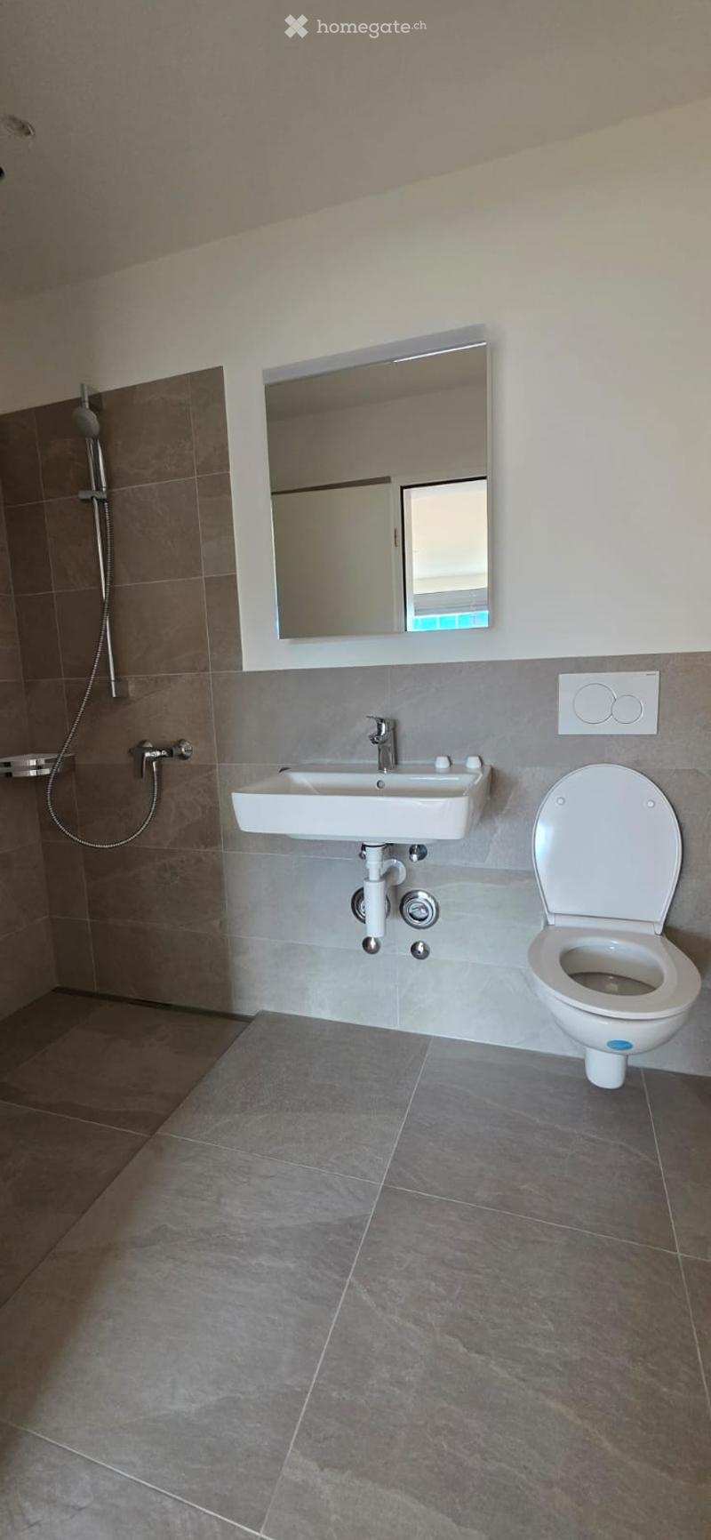 Bathroom with shower, sink, mirror, and toilet.