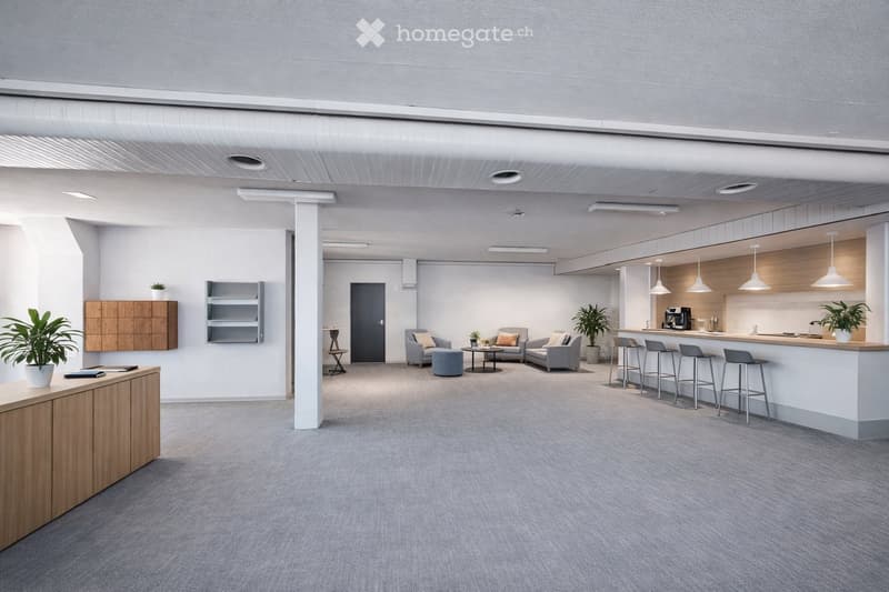 Modern, open-plan lounge area with grey carpeting, white walls, and exposed ceiling beams. Features a seating area with a sofa, coffee table, and ottoman, a kitchen counter with bar stools, and wooden cabinets with shelves and plants.