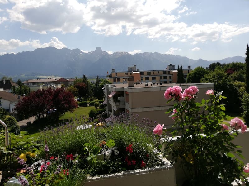 Balcony with colorful flowers, overlooking a residential area with buildings and distant mountains.