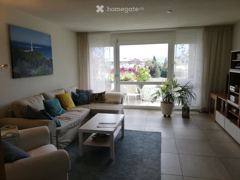 Modern living room with a large window offering a scenic view, a sectional sofa with colorful cushions, a white coffee table, a potted plant, and a shelf with decorative items.