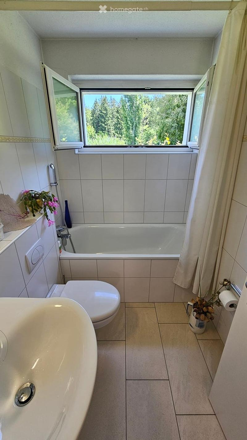 Bright bathroom with a large window offering a view of greenery, featuring a bathtub, toilet, sink, mirror, and decorative elements like a flower pot and vase.