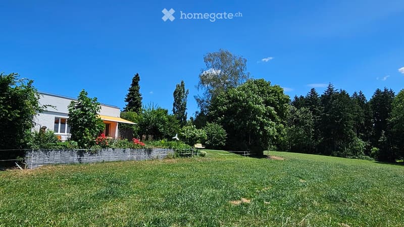 Lush green lawn with a stone retaining wall, a small bench, and a modern house with a yellow awning in the background.
