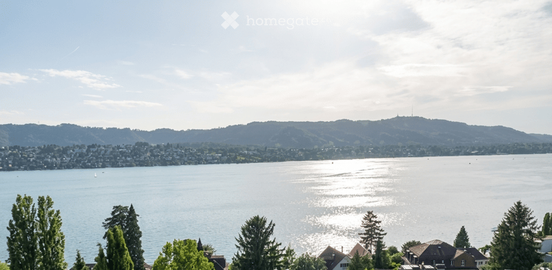 Panoramic view of a lake with surrounding hills and a town in the distance, featuring trees in the foreground.