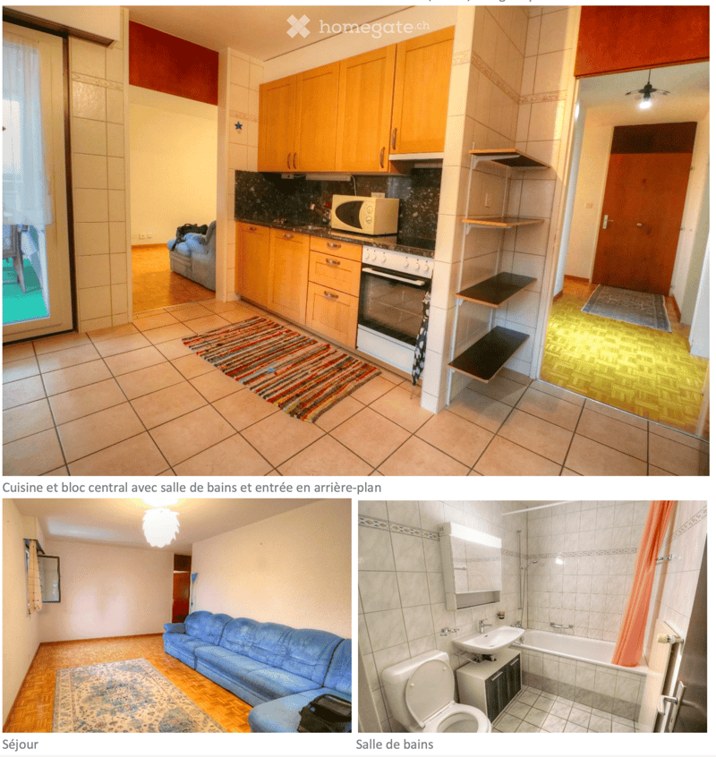 The image shows a furnished apartment with a living room, kitchen, and bathroom. The living room features a blue sofa and a patterned rug. The kitchen has wooden cabinets, a microwave, and an oven. The bathroom includes a sink, bathtub, toilet, and a mirr