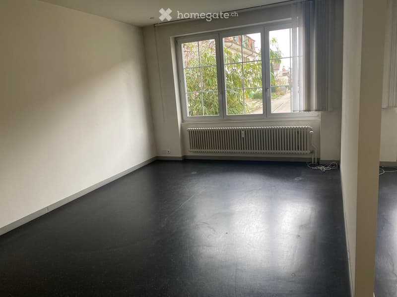 Empty room with light-colored walls, dark floor, large window with view of greenery, radiator below window, and visible electrical outlet.