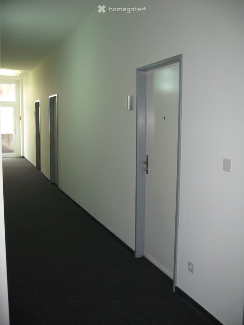 A clean, well-lit hallway with light-colored walls, dark carpeting, and several closed doors along the sides.