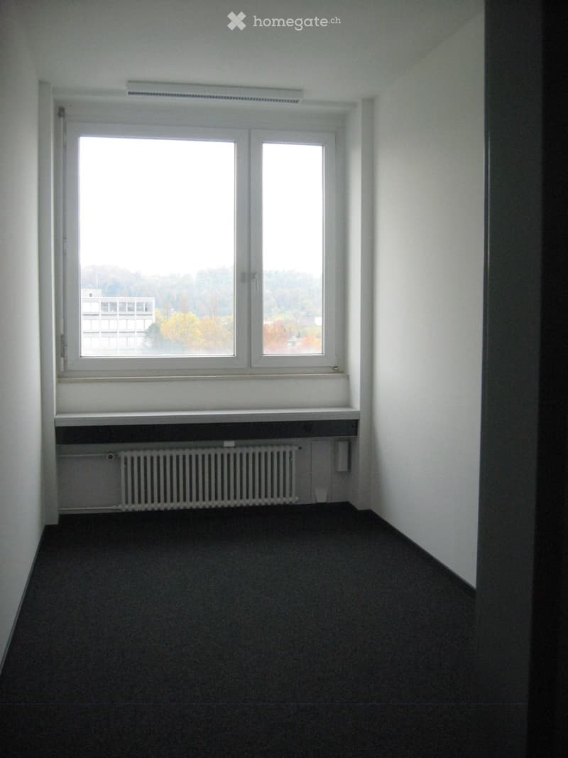 Empty room with white walls, dark carpeted floor, large windows with a view of the outside, radiator, and a small shelf under the windows.