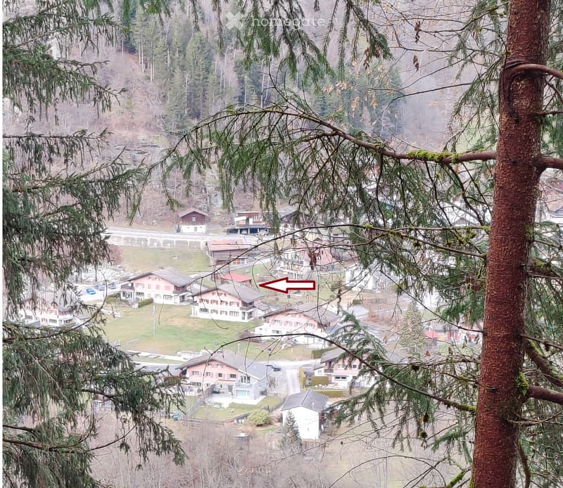 A panoramic view of a residential area with multiple houses, trees, and a road, partially obscured by tree branches in the foreground.