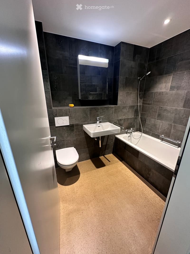 Modern bathroom with dark grey tiles, a white sink, a bathtub, and a toilet. Features a large mirror with built-in lighting and a small shelf above the sink.