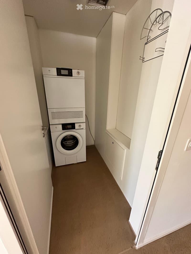 Narrow hallway with a washing machine on the left side and built-in storage cabinets on the right side.