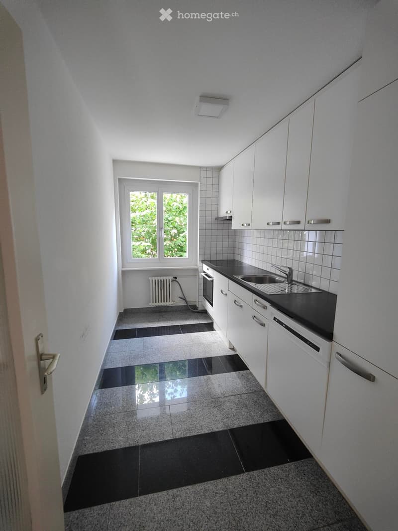 Modern kitchen with white cabinets, black countertop, stainless steel sink, and a window overlooking greenery.