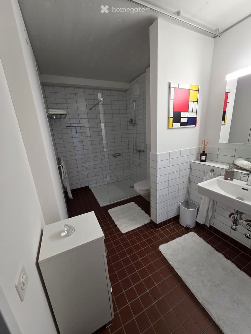 Modern bathroom with white walls, brown tiled floor, shower stall, sink, toilet, and decorative elements including a colorful abstract painting and white rugs.