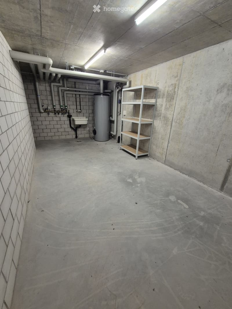 Empty basement or utility room with concrete walls and floor, exposed pipes, a water heater, and a metal shelving unit.