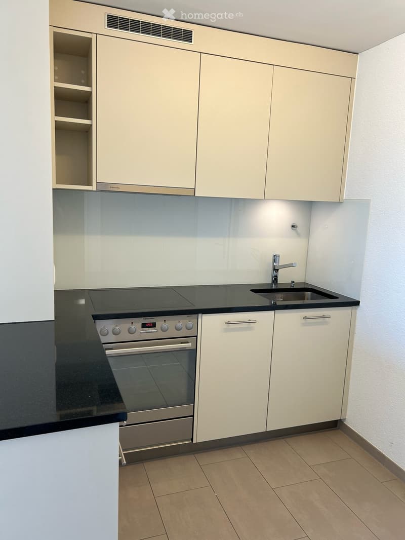 Moderne 1.5-Zimmer-Wohnung – befristet zu vermieten (4)