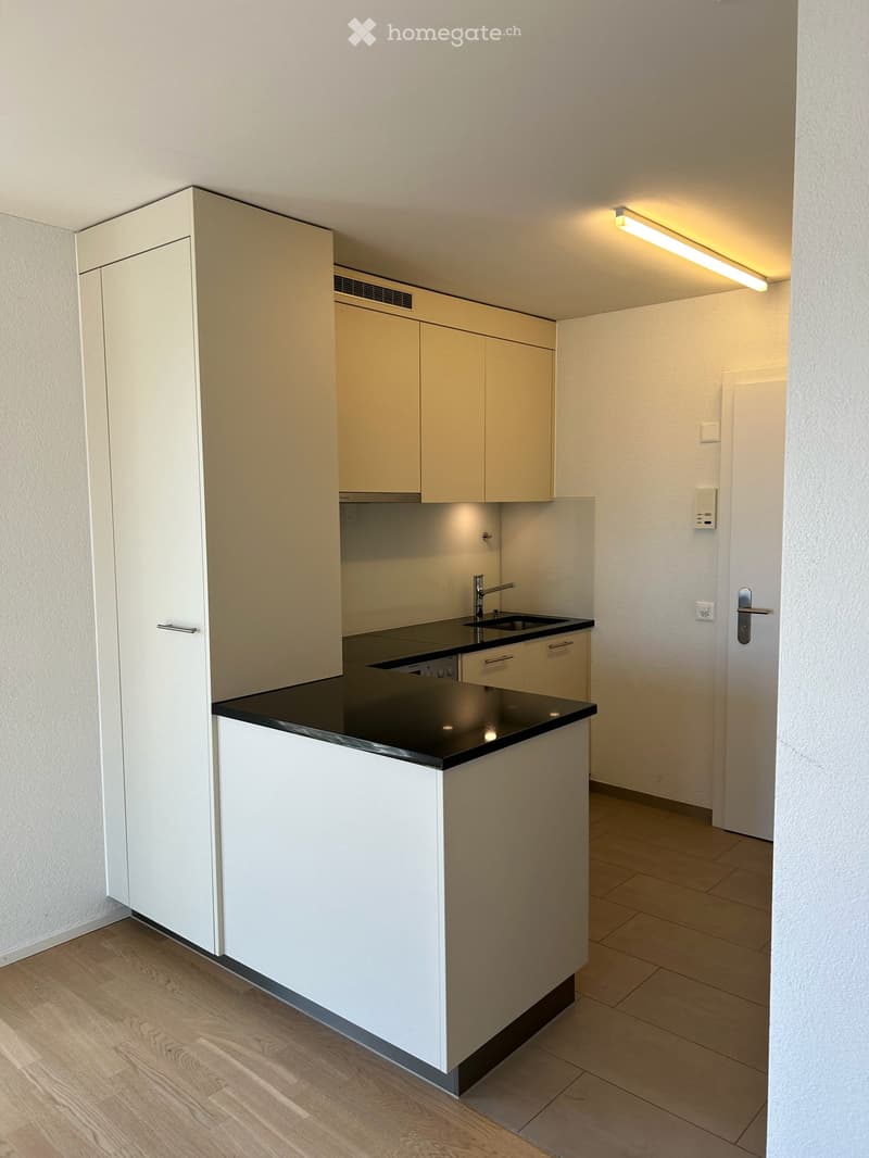 Moderne 1.5-Zimmer-Wohnung – befristet zu vermieten (3)