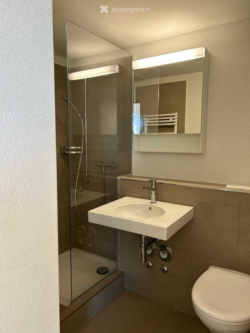 Moderne 1.5-Zimmer-Wohnung – befristet zu vermieten (5)