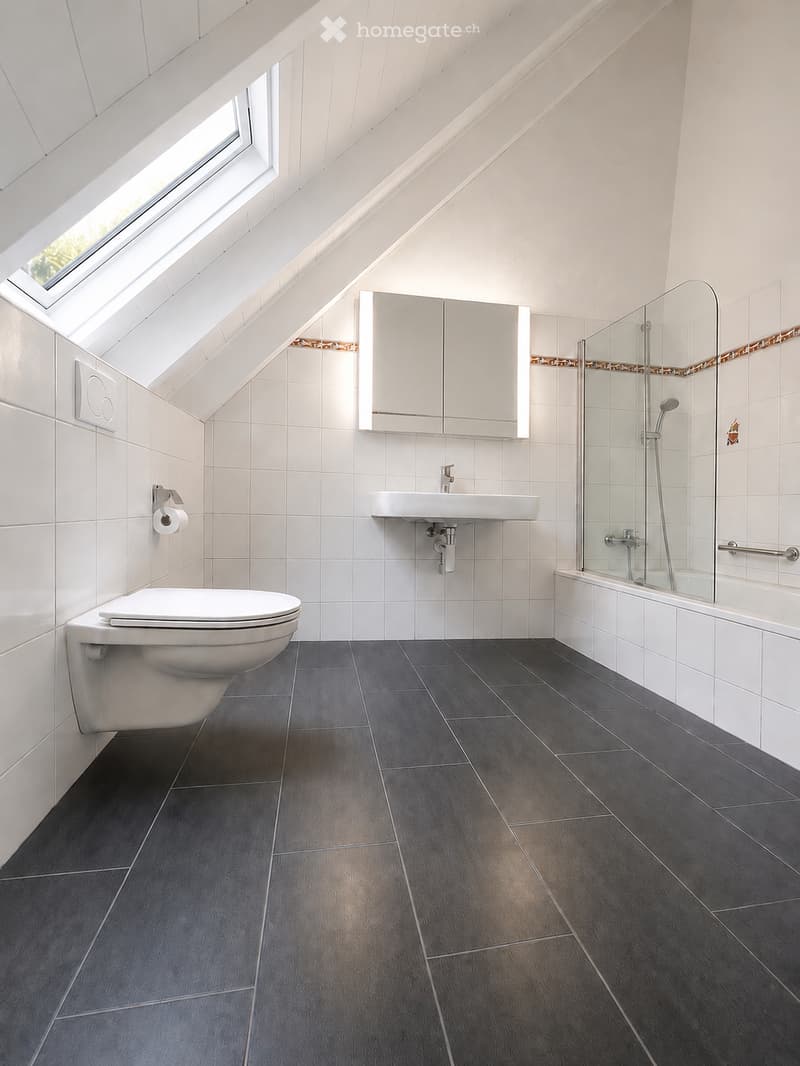 Modern bathroom with white tiles, dark grey floor tiles, a toilet, a sink, a mirror cabinet, and a glass-enclosed shower with a bathtub.