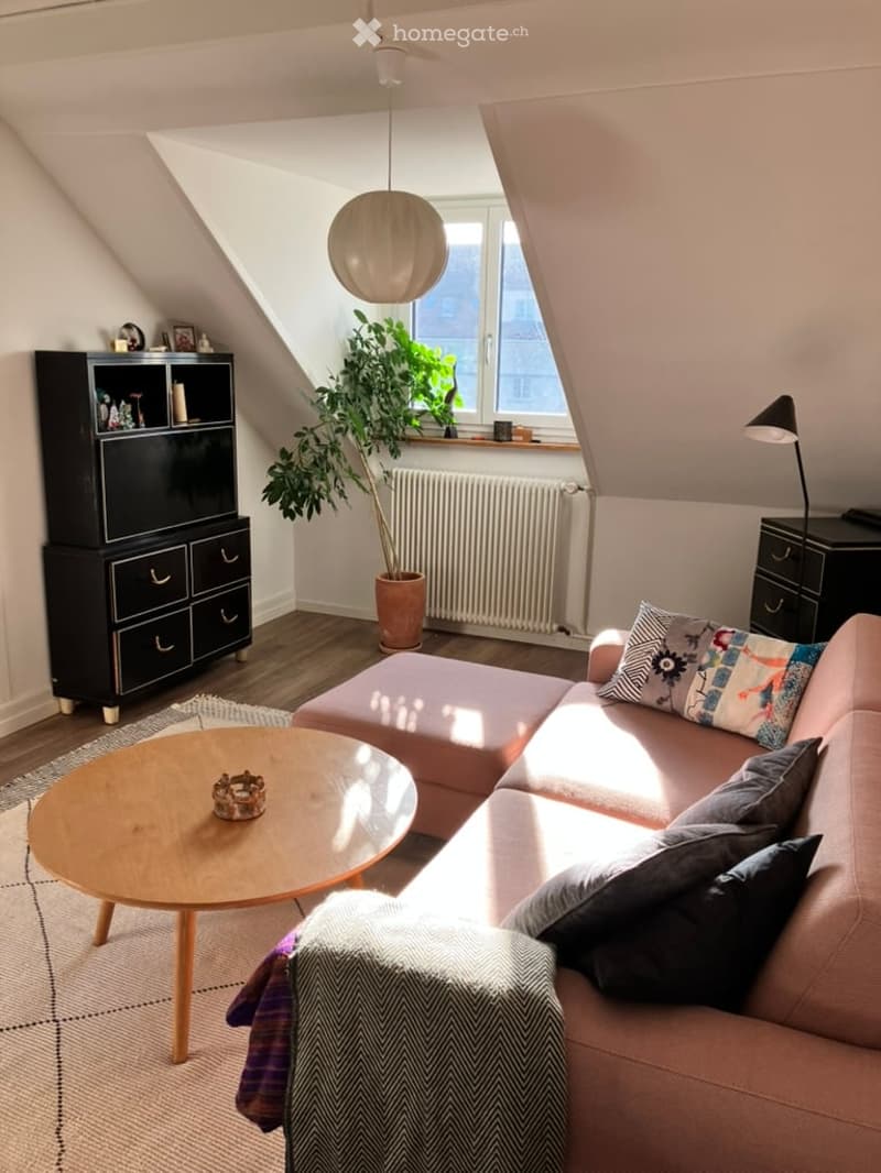 Living room with pink sofa, wooden coffee table, black cabinets, floor radiator, potted plant, window