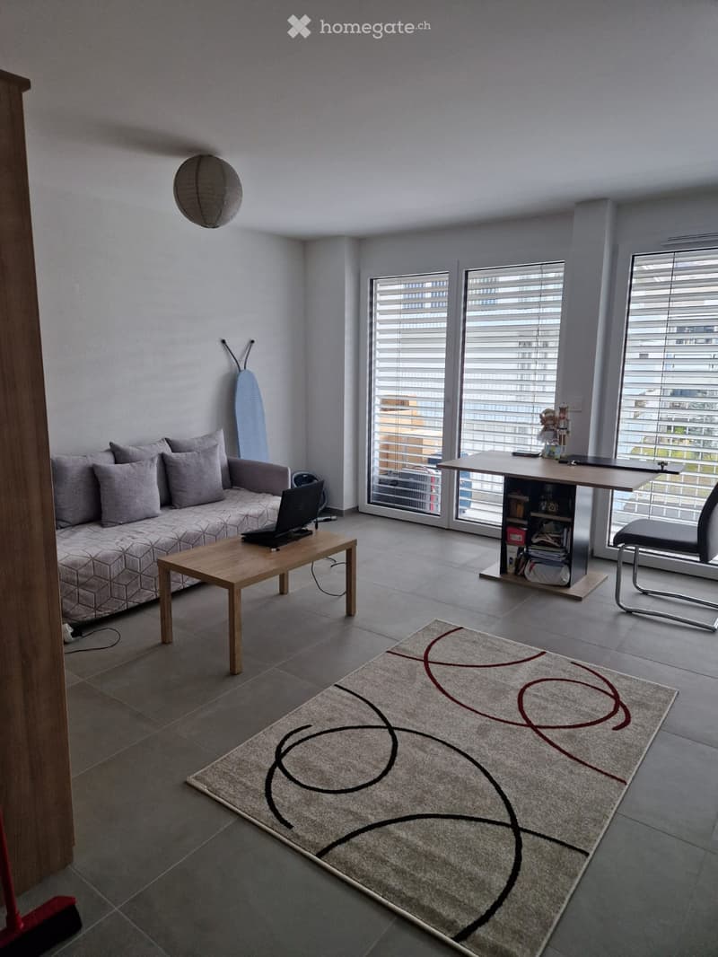 Furnished Room. Modern living room with a grey sofa, wooden coffee table, laptop, chair, small table with shelves, and a patterned rug.