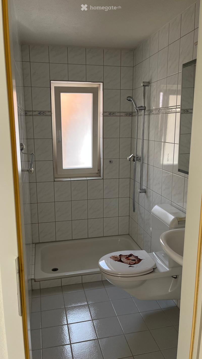 Modern bathroom with grey tiled walls and floor, featuring a bathtub, toilet with a decorative sticker, sink, and a showerhead with a handheld sprayer. A small window provides natural light.