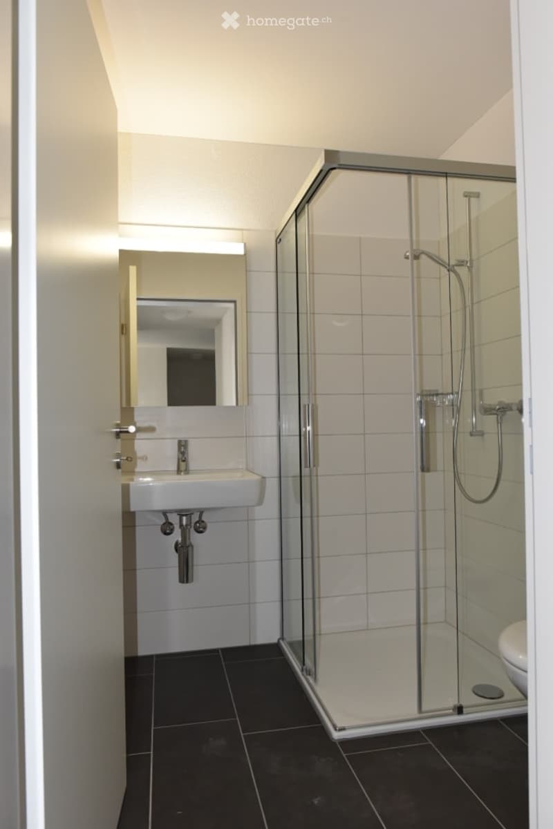 Bathroom with shower, toilet, mirror and white sink.