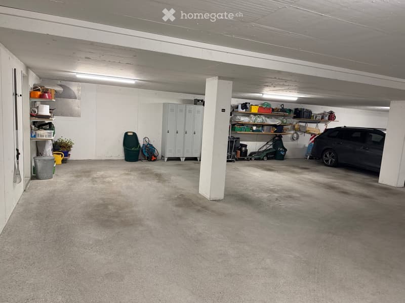 {"type": "Garage", "objects": ["car", "lawn mower", "garden tools", "storage cabinets", "shelves", "buckets", "plants"], "description": "A spacious underground garage with a parked car, lawn mower, garden tools, storage cabinets, shelves, and various item