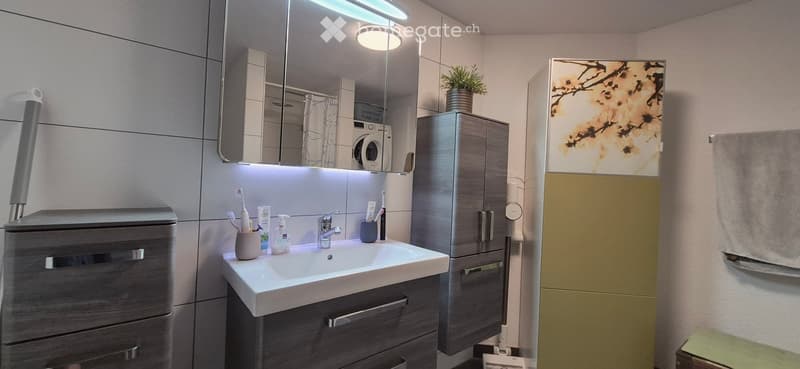 Modern bathroom with a white sink, mirror cabinet, and a small plant on top. The sink has a chrome faucet and toothbrush holders. A towel hangs on the wall, and a shower is visible in the background.