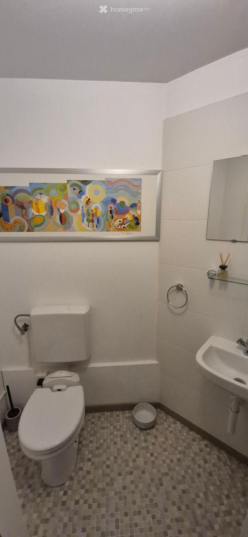 Small bathroom with a toilet, sink, mirror, towel ring, and a decorative bowl on the floor. A colorful framed artwork is mounted on the wall above the toilet.