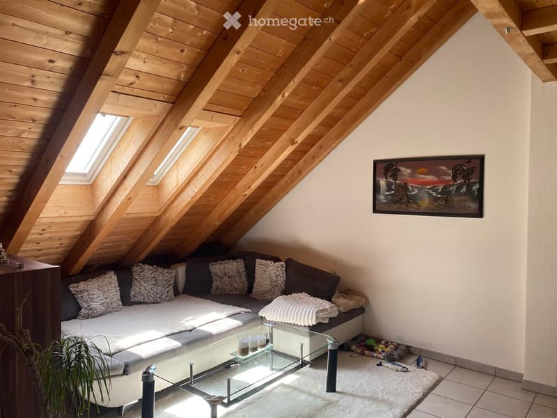 Cozy living room with wooden slanted ceiling, skylights, grey sofa with decorative pillows, glass coffee table, and a potted plant near the sofa.