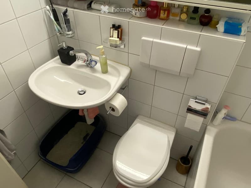 Compact bathroom with a white sink, toilet, and mirror. The sink has a modern faucet and a soap dispenser, while the mirror has shelves holding toiletries. A toilet paper holder and a toilet brush are visible, along with a towel on the floor.