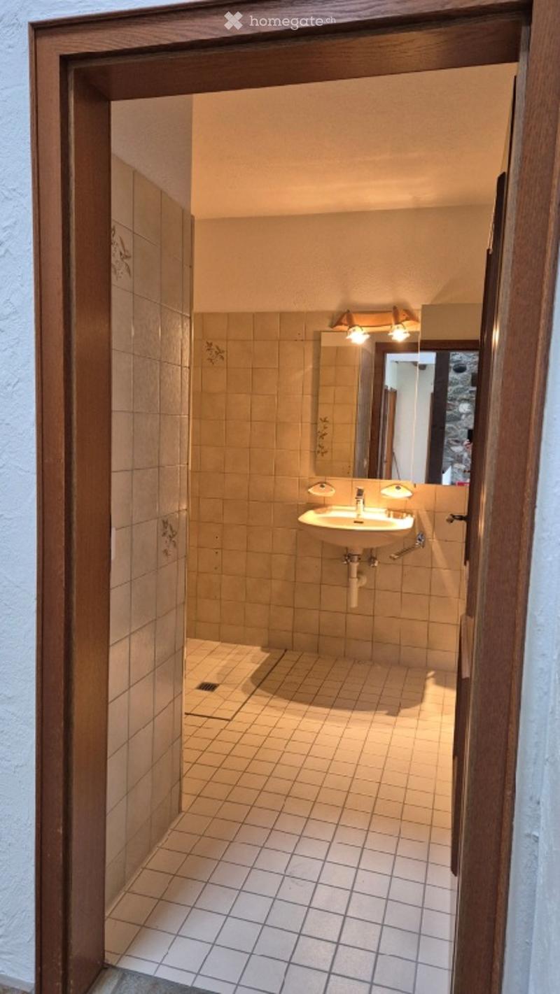 Small bathroom with tiled walls and floor, a single sink with a mirror above it, and a small shower area visible through the open door.