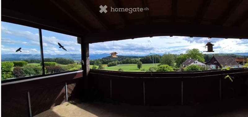 Wooden balcony with expansive view of green fields, distant mountains, and scattered houses. Birds are visible in the sky.