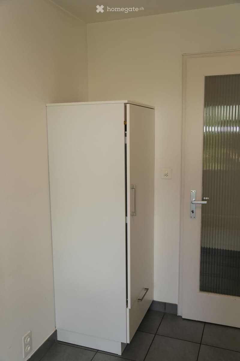 Empty room with white cabinet, white door with glass panel, and dark tiled floor.