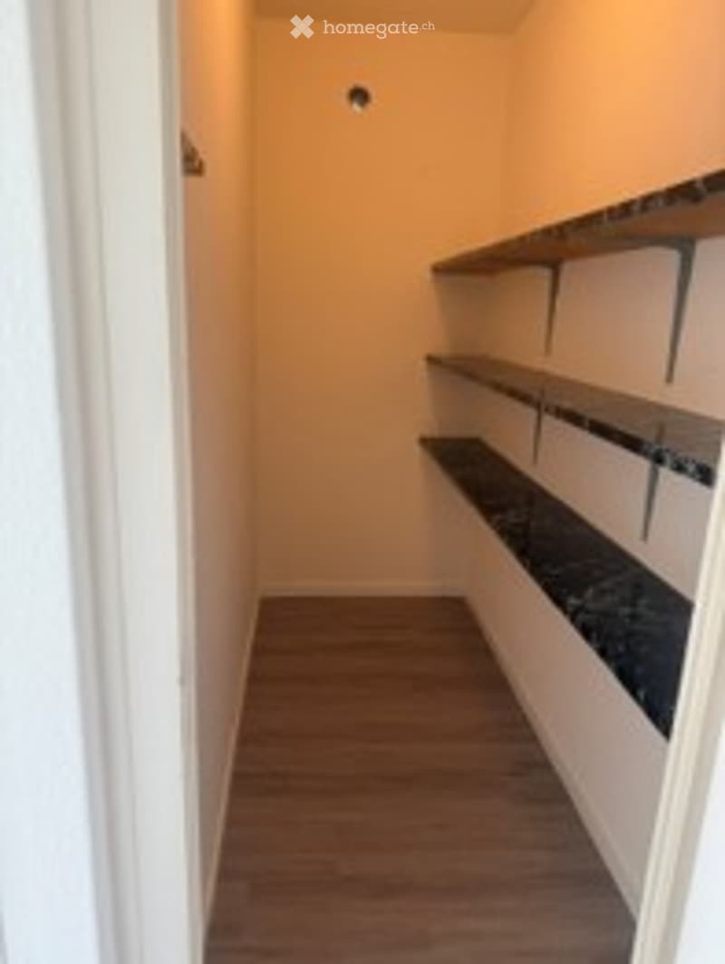 Empty closet with wooden floor, beige walls, and metal shelving units.
