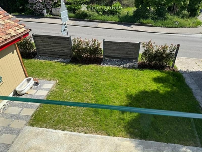 Small, well-maintained garden with a neatly trimmed lawn, wooden fences, and a few small bushes. A white plastic container is visible near the fence.