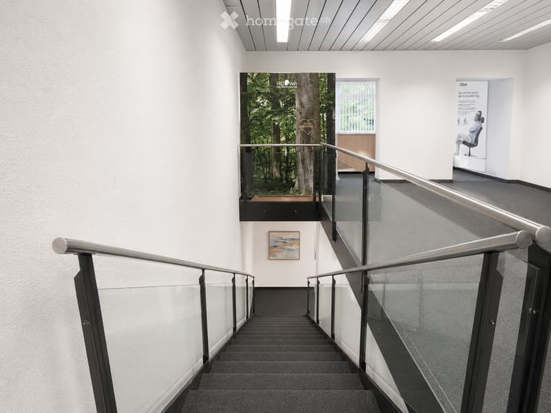 Modern interior staircase with glass railings, grey carpeted steps, white walls, and artwork displayed on the walls.