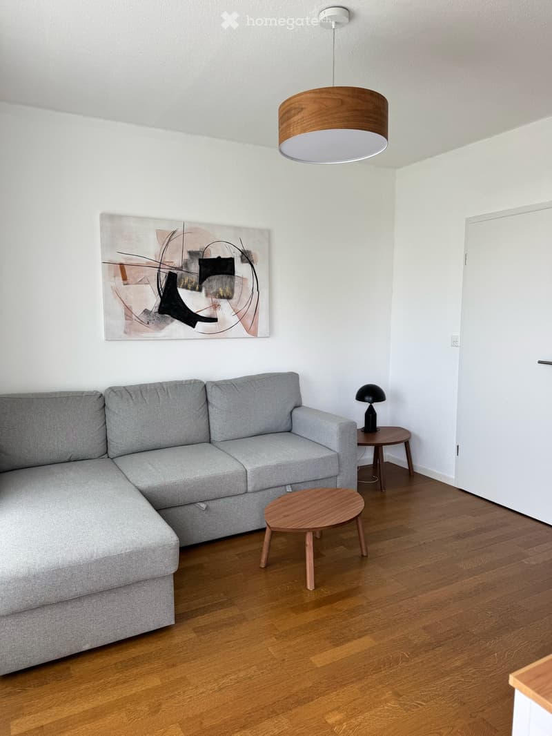 Helle 3.5-Zimmer-Wohnung mit Balkon und schöner Aussicht in Zürich-Witikon (3)