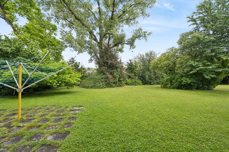 A well-maintained garden with a large, open grassy area, surrounded by tall trees and a clothesline in the background.
