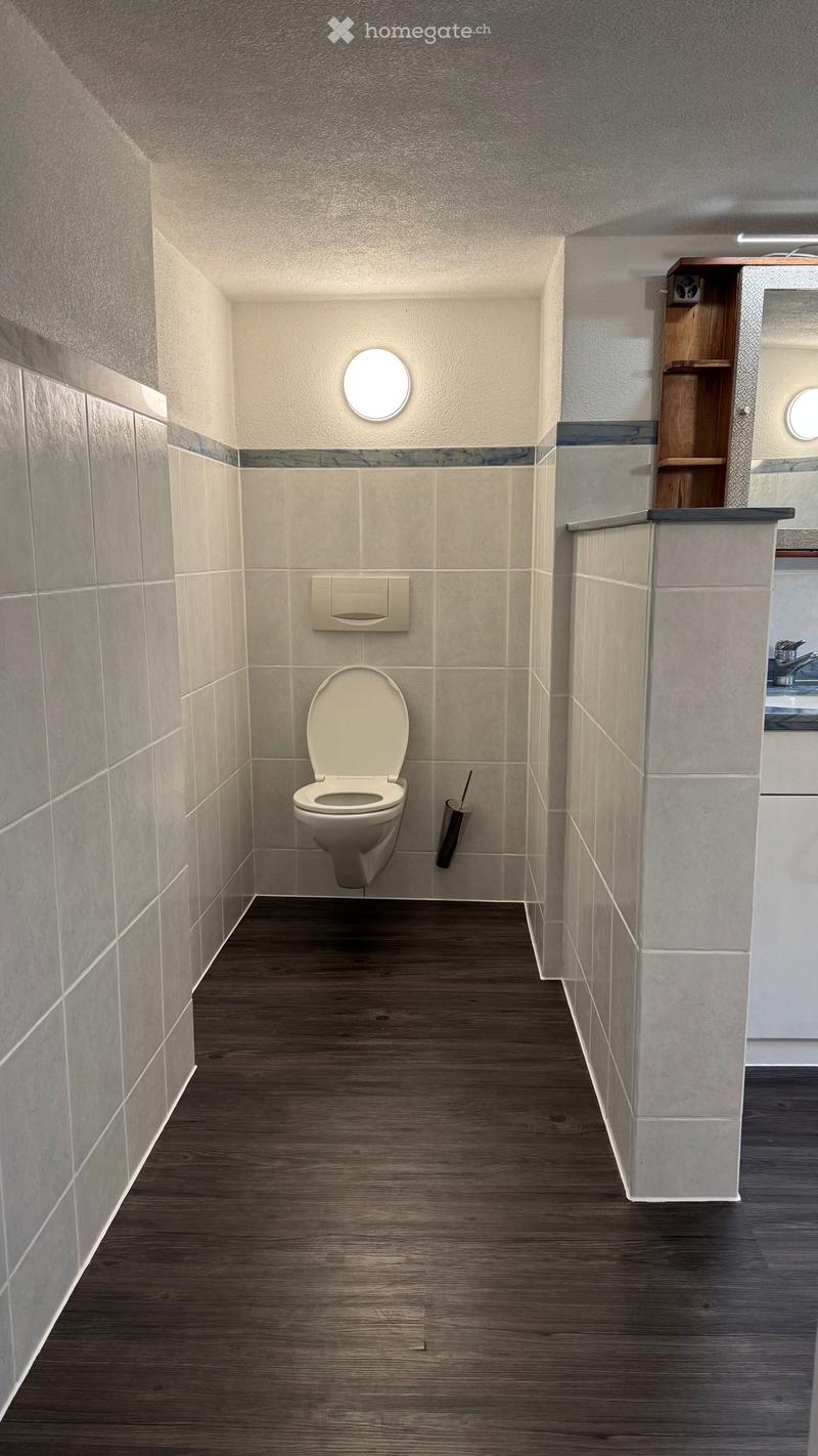 Modern bathroom with a toilet, toilet brush, and a small wooden shelf. The walls are tiled with a decorative border, and the floor is made of dark wood.