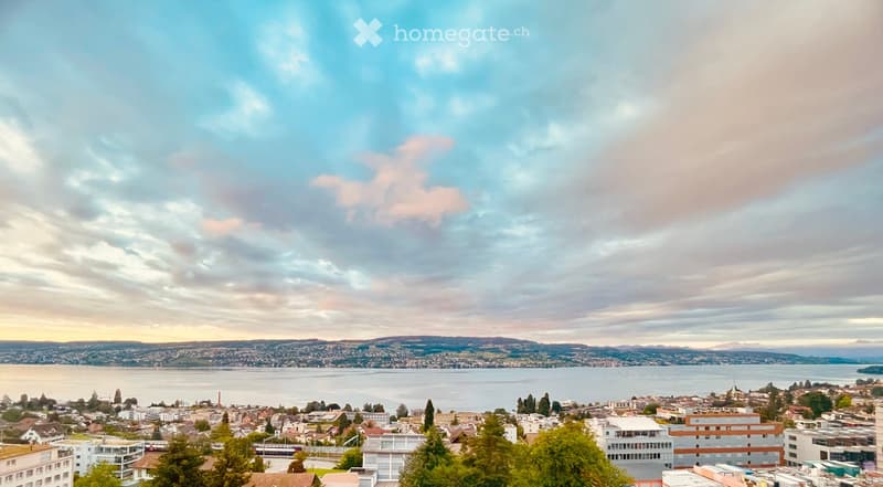 Building. Panoramic view of a cityscape with a lake in the background, featuring a mix of residential and commercial buildings, trees, and distant mountains.