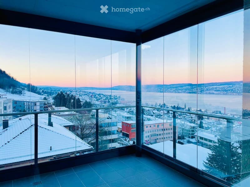 Balcony / Terrace. A modern balcony with expansive cityscape views, snow-covered rooftops, and distant water body.